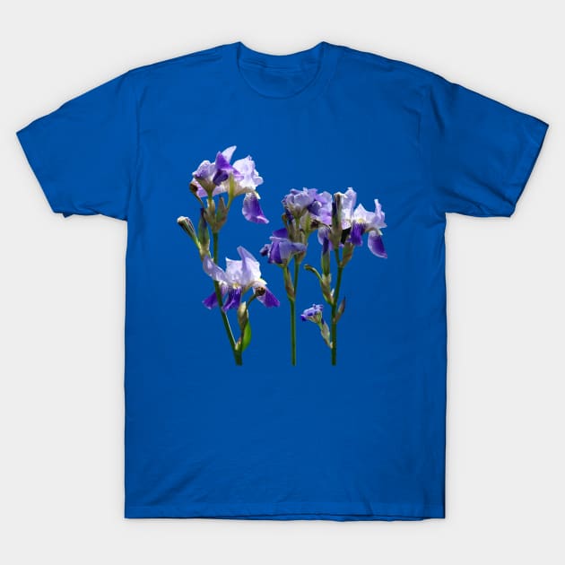 Irises - Group of Purple Irises T-Shirt by SusanSavad